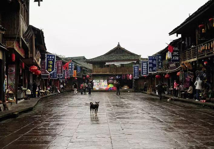 蒿坪绿茶含硒成分为什么会比其他绿茶高6倍？